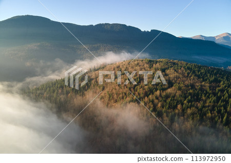 Aerial view of amazing scenery with foggy dark mountain forest pine trees at autumn sunrise. Beautiful wild woodland with shining rays of light at dawn Aerial view of amazing scenery with foggy dark mountain forest pine trees at autumn sunrise. Beautiful wild woodland with shining rays of light at dawn 113972950