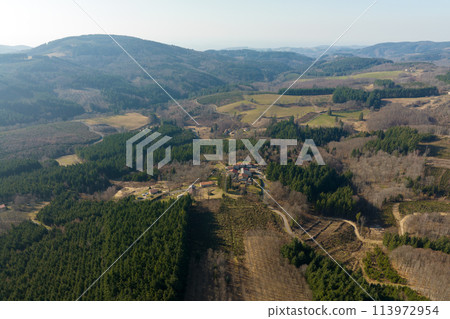 Aerial view of pine forest with large area of cut down trees as result of global deforestation industry. Harmful human influence on world ecology 113972954