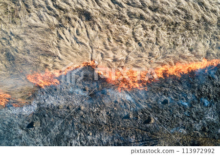 Aerial view of grassland field burning with red fire during dry season. Natural disaster and climate change concept 113972992