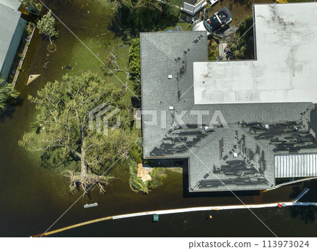 Natural disaster and its consequences. Hurricane Ian flooded house and fallen tree in Florida residential area 113973024