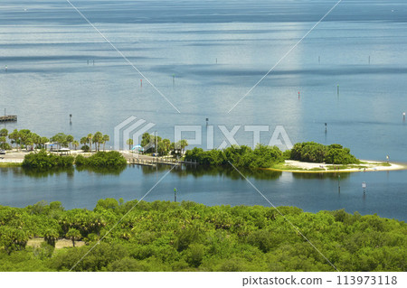Overhead view of Everglades swamp with green vegetation between water inlets. Natural habitat of many tropical species in Florida wetlands Overhead view of Everglades swamp with green vegetation between water inlets. Natural habitat of many tropical species in Florida wetlands 113973118