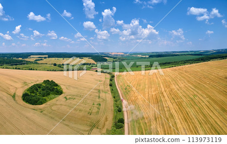 Aerial view of lorry cargo truck driving on dirt road between agricultural wheat fields. Transportation of grain after being harvested by combine harvester during harvesting season 113973119