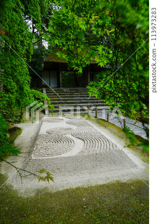The grounds of Honen-in Temple in early summer 113973283