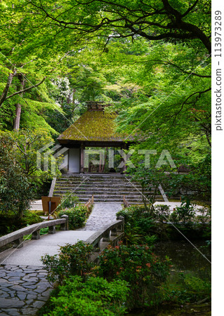 The grounds of Honen-in Temple in early summer The grounds of Honen-in Temple in early summer 113973289