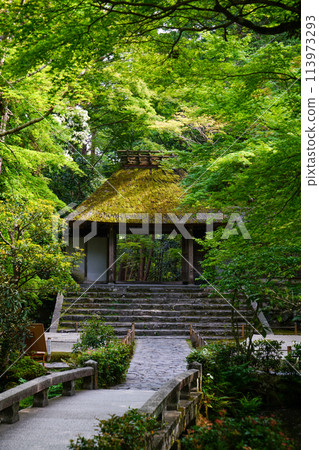 The grounds of Honen-in Temple in early summer The grounds of Honen-in Temple in early summer 113973293
