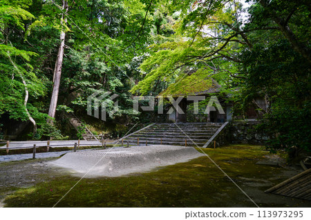 The grounds of Honen-in Temple in early summer The grounds of Honen-in Temple in early summer 113973295