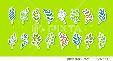 Bright green leaves and twigs, sticker sheet Bright green leaves and twigs, sticker sheet 113973312