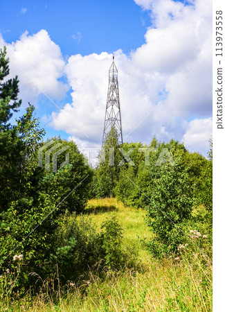 Geodetic point for measuring the land 113973558