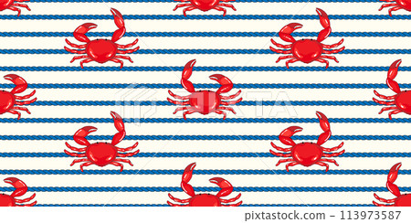 Coastal, sea life pattern  cute red crabs with nautical, sailor style rope on white background 113973587