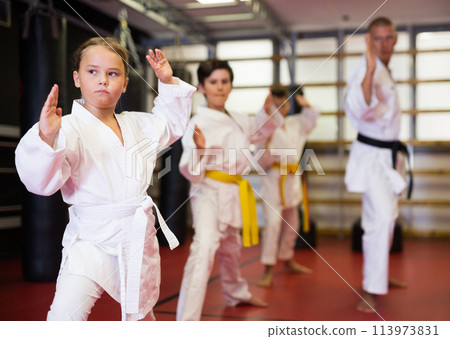 Girl fighting karate stand in the gym. Children in pair practice karate 113973831