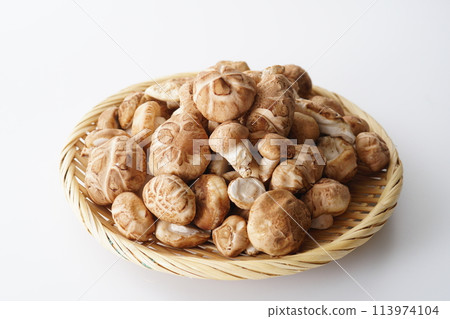 Shiitake mushrooms 113974104