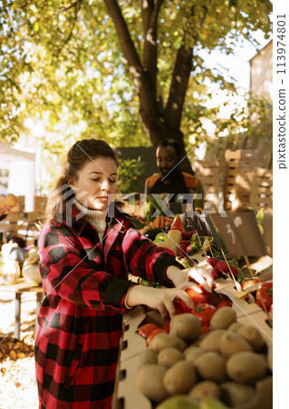 Female consumer browsing and selecting organic fresh produce at farmers market stand. In harvest fair festival, young client shopping for locally grown fruits and vegetables on harvest fair stalls. Female consumer browsing and selecting organic fresh produce at farmers market stand. In harvest fair festival, young client shopping for locally grown fruits and vegetables on harvest fair stalls. 113974801