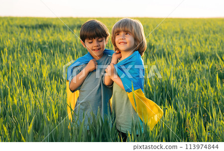 Happy glad boys - Ukrainian patriots children with national flag on in fresh green field. 113974844