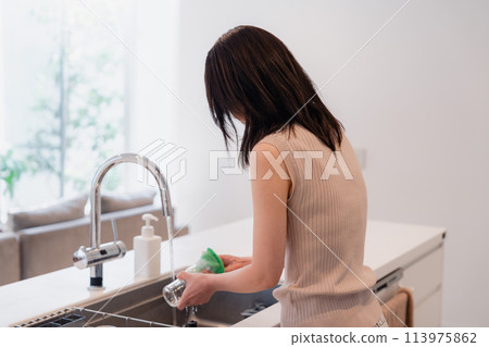 Young woman washing dishes in the kitchen Young woman washing dishes in the kitchen 113975862