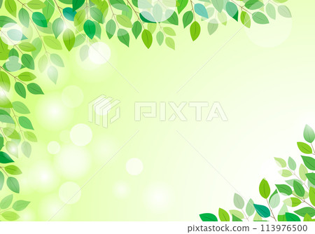 Beautiful fresh green frame background 6 green 113976500