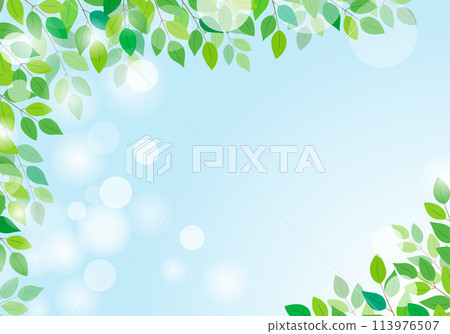 綠葉6天藍色美麗清新的綠色框架背景 113976507