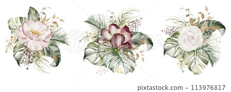 Set of watercolor roses. Botanical composition of tropical leaves and flowers. Bouquet of australian plants and orchid branches. Wedding stationery, fashion, card, poster. Pink and pale beige bud. 113976817
