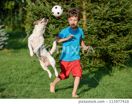 Kid playing football with family pet dog in backyard garden. Dog jumps to catch a ball. Kid playing football with family pet dog in backyard garden. Dog jumps to catch a ball. 113977428
