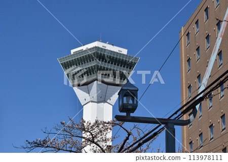 Goryokaku Tower 113978111