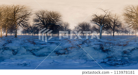 Snowy landscape with trees 360 panorama vr environment map 113978181