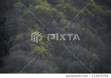 Fresh green mountain Fresh green mountain 113978784