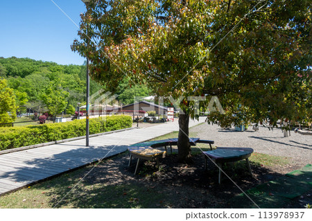 初夏的觀音山公園,群馬縣高崎市 初夏的觀音山公園,群馬縣高崎市 113978937