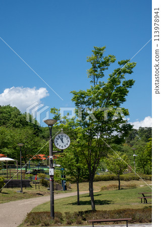 Kannonyama Park in early summer, Takasaki City, Gunma Prefecture 113978941