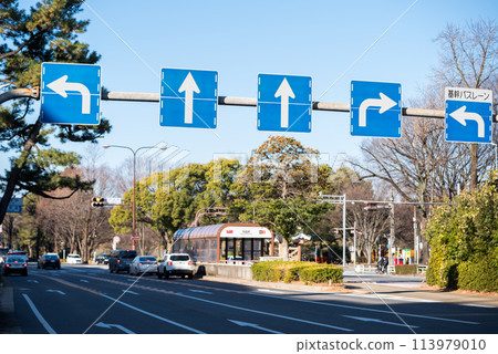 【重點公車專用道】路標複雜的路口 113979010