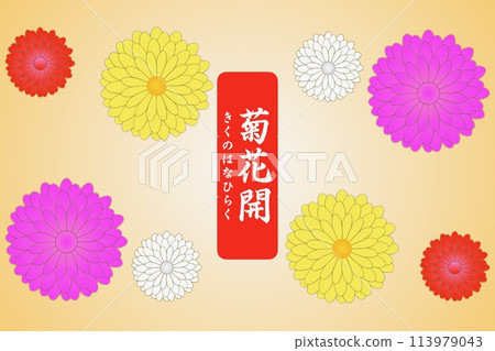Chrysanthemums bloom 113979043