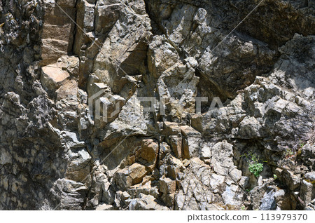 Textured stone sandstone surface. Close up image Textured stone sandstone surface. Close up image 113979370