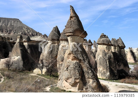 蘑菇岩 世界遺產 卡帕多西亞 土耳其 亞洲 蘑菇岩 世界遺產 卡帕多西亞 土耳其 亞洲 113979385