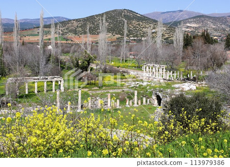 Aphrodisias Ruins, World Heritage Site, Aegean Coast, Turkey, Asia 113979386