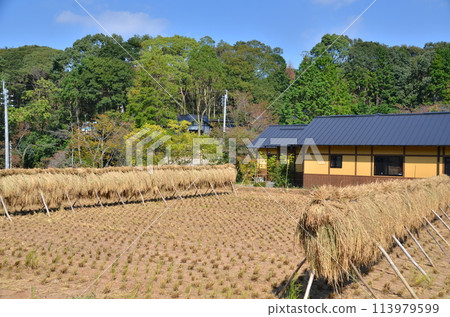 A peaceful rural landscape with the mountains behind it. A quiet home nestled at the foot of the greenery. A rural home overlooking the mountains. A peaceful rural landscape with the mountains behind it. A quiet home nestled at the foot of the greenery. A rural home overlooking the mountains. 113979599