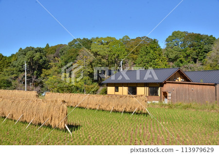 寧靜的鄉村風景，背景是一座山，一棟安靜的房子，坐落在綠地腳下，可以看到山景。 113979629