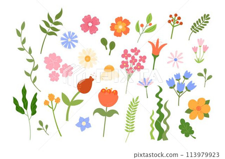 Cute flowers and leaves set. Vector illustration. Floral botanical elements isolated on white background. Hand drawn natural meadow flower objects Cute flowers and leaves set. Vector illustration. Floral botanical elements isolated on white background. Hand drawn natural meadow flower objects 113979923