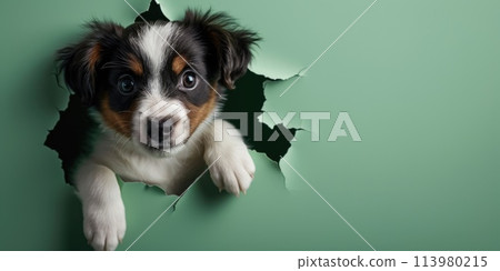 Zoom in picture of a breaking green wall and the dog in the green hole. AIGX03. Zoom in picture of a breaking green wall and the dog in the green hole. AIGX03. 113980215