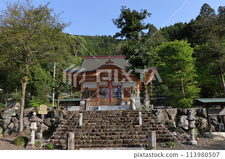 Ikagu Shrine in Spring Ikagu Shrine in Spring 113980507