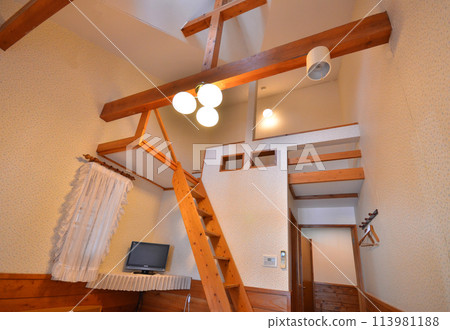 A sophisticatedly designed loft room with an open ceiling and bright light 113981188
