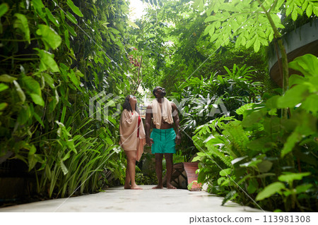 Travelers among tropical vegetation 113981308
