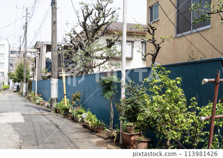 老巷子裡種滿了開花的盆栽，昭和時代的風景，後巷子裡種滿了花壇 113981426