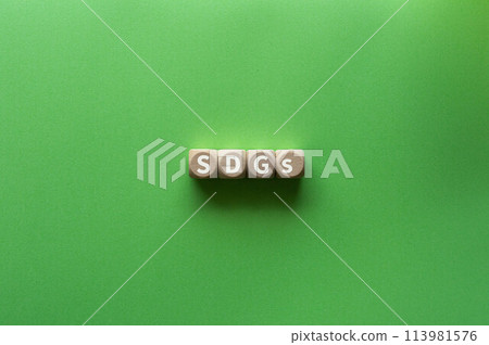 There is a wooden cube with the letters SDGs on it. 113981576