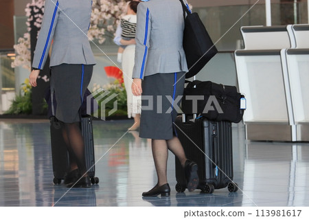 前往登機口的空服人員,國際航班機組人員 前往登機口的空服人員,國際航班機組人員 113981617