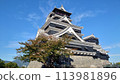 Kumamoto Castle on a clear day in Kumamoto City, Kumamoto Prefecture 113981896