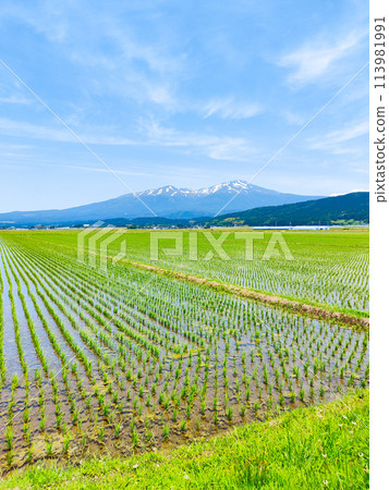 從坂田市眺望鳥海山 113981991