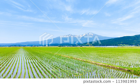 從坂田市眺望鳥海山 從坂田市眺望鳥海山 113981993