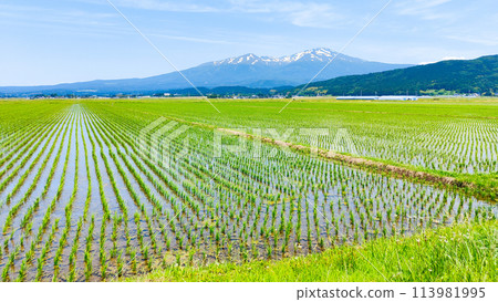 從坂田市眺望鳥海山 從坂田市眺望鳥海山 113981995