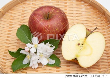 Sun Fuji (flowers and fruit) 113981996