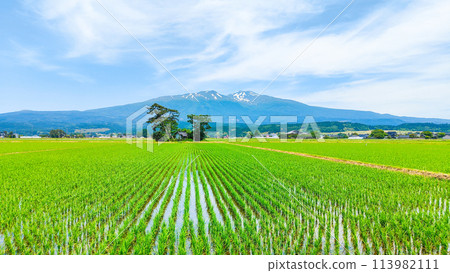 從遊座町眺望鳥海山 113982111