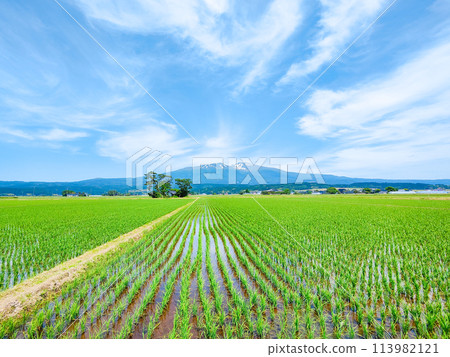 從遊座町眺望鳥海山 從遊座町眺望鳥海山 113982121