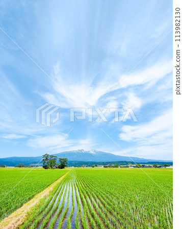 Mt. Chokai as seen from Yuza Town Mt. Chokai as seen from Yuza Town 113982130